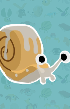 Cinnasnail's image