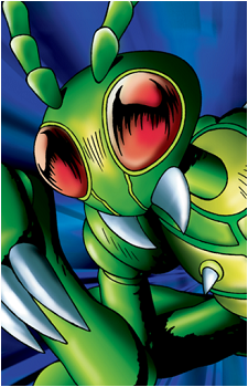 Basic Insect's image