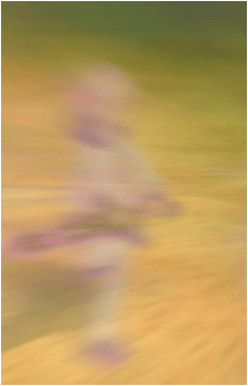 Image 183