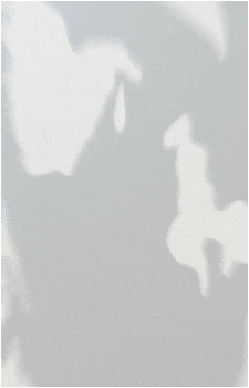 Image 28