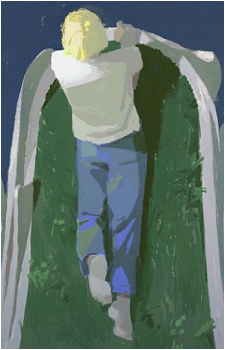 Image 30