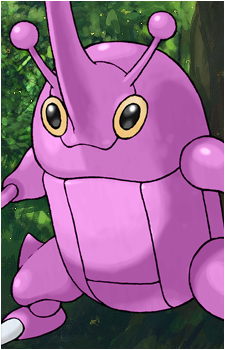 Image 3 of Heracross