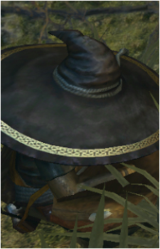 Big Hat Logan