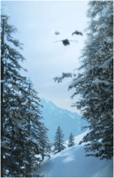 Image 2 Image 2