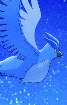 Image 35