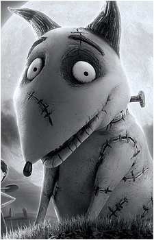 Sparky