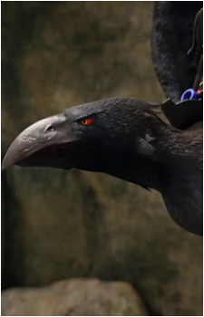 Raven Legend Beast's image