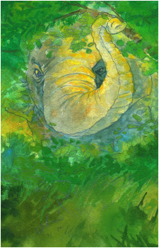 Hathi the Elephant's image