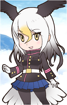 Bald Eagle's image