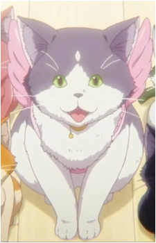 Chimera's image