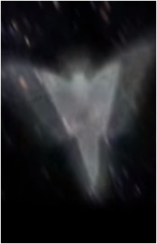 The Embryon