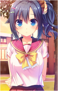 Image 11