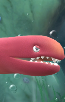 Maw-Ray
