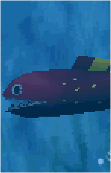 Maw-Ray