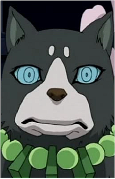 Hakubi's image