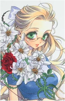 Image 7 Image 7