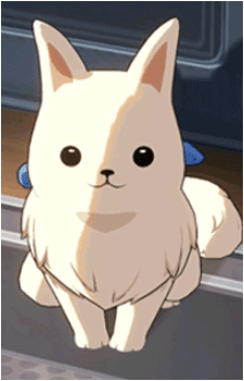 Image 7 Image 7