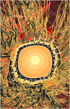 Image 6 Image 6
