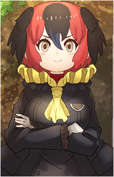 Australian Brushturkey