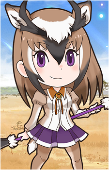 Pronghorn
