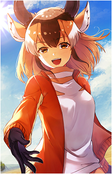 Pronghorn