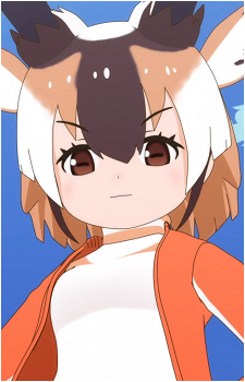 Pronghorn