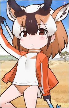 Pronghorn's image