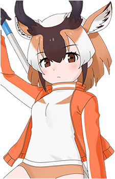 Pronghorn