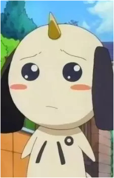 Paya Livingston's image
