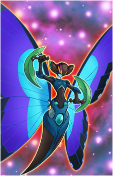 Morpho Butterspy's image