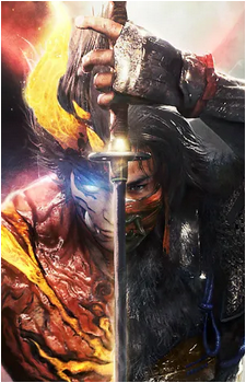Hide {Nioh}'s image