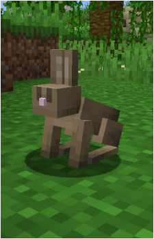 Rabbit's image
