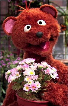 Baby Bear's image