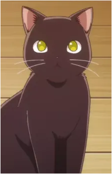 Nyamerou's image