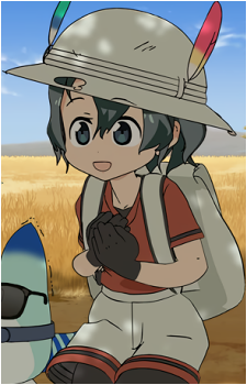 Image 5