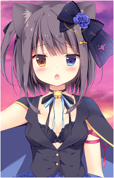 Image 4 Image 4