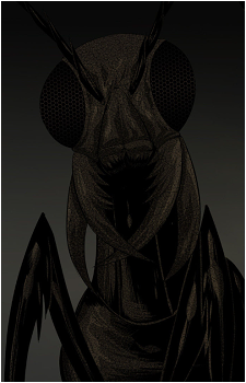 Buzzy's image
