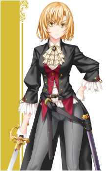 Noble Fencer