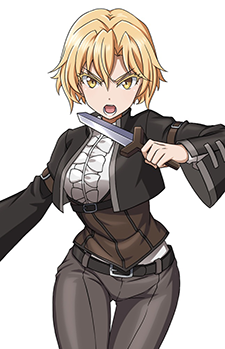 Noble Fencer