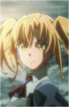 Noble Fencer