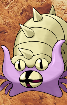 Omanyte