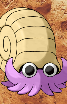 Omanyte