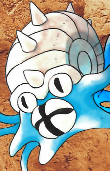 Omanyte
