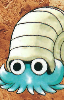 Omanyte