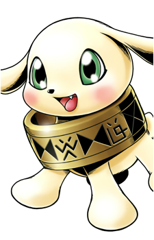 Salamon X