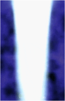 Image 33