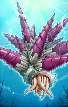 Drill Barnacle's image