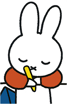 nijntje pluis