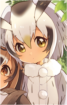 Northern White-Faced Owl