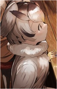 Northern White-Faced Owl